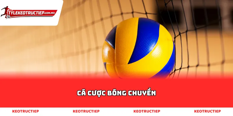 Cá cược bóng chuyền