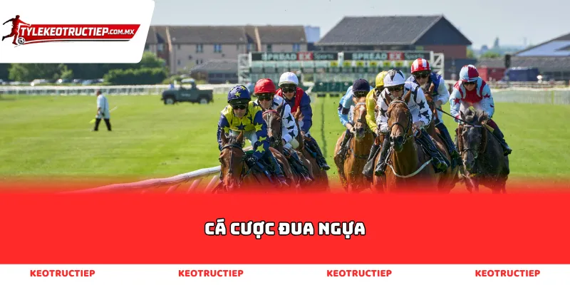 Cá cược đua ngựa