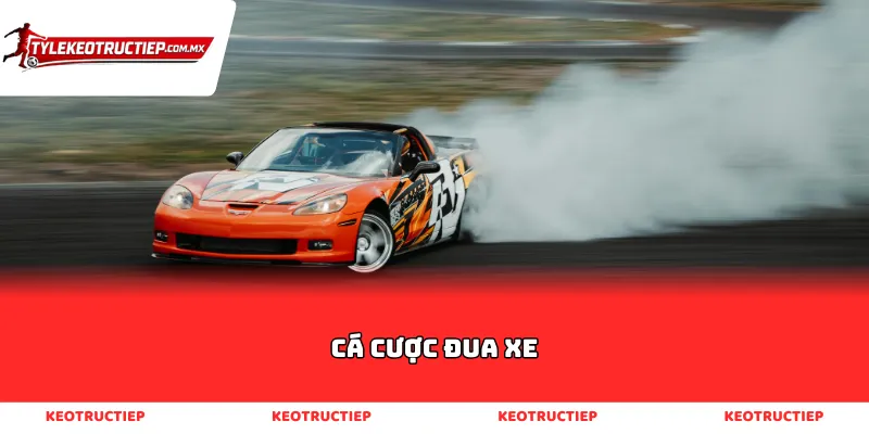 Cá Cược Đua Xe